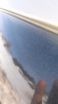 IMG02763.jpg