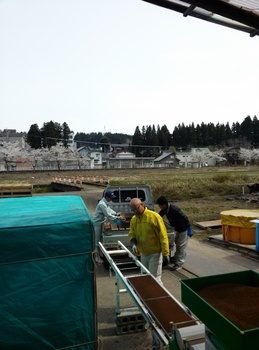 IMG02917.jpg