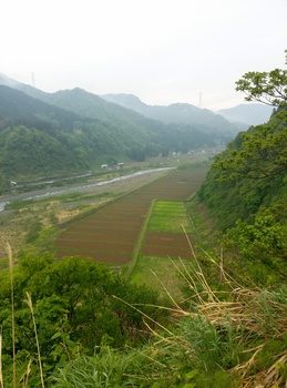IMG02966.jpg
