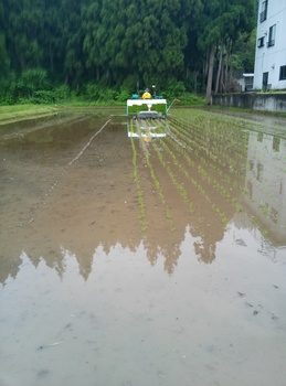 IMG02980.jpg