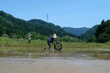 IMG03014-1.jpg