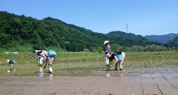 IMG03019-1.jpg