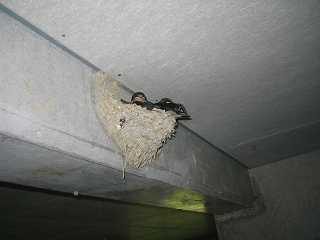 IMG_0552.jpg