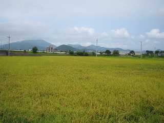 IMG_0680.jpg