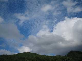 IMG_0717.jpg