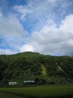 IMG_0718.jpg