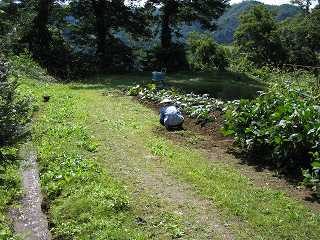 IMG_0723.jpg