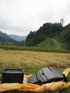 IMG_0768.jpg