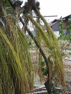 IMG_0780.jpg