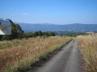 IMG_0790.jpg