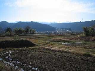 IMG_0821.jpg