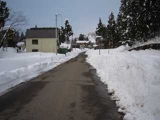 IMG_0831.jpg