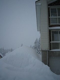 IMG_0836.jpg