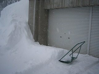 IMG_0837.jpg