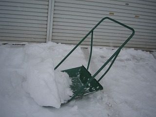 IMG_0838.jpg