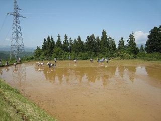 IMG_0838.jpg