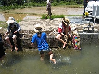 IMG_0848.jpg