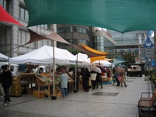 IMG_0849.jpg
