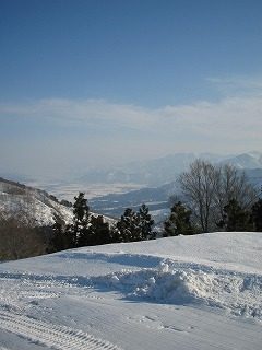 IMG_0894.jpg