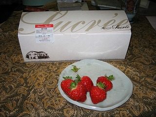 IMG_0900.jpg