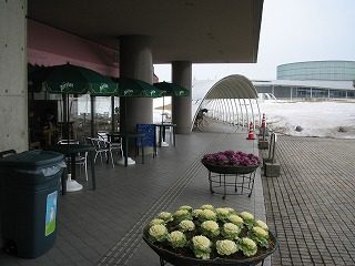 IMG_0901.jpg