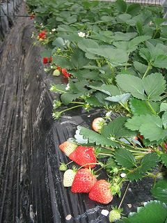 IMG_0906.jpg