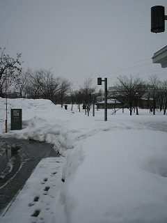 IMG_0919.jpg