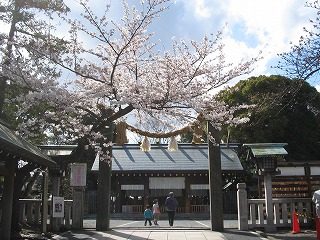 IMG_0947.jpg