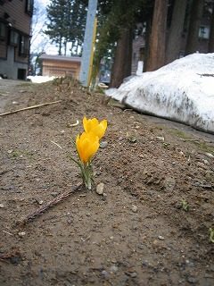IMG_0954.jpg