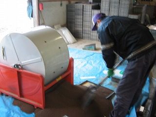 IMG_0971.jpg