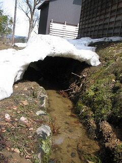 IMG_0985.jpg