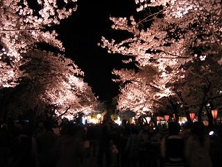 IMG_1019.jpg