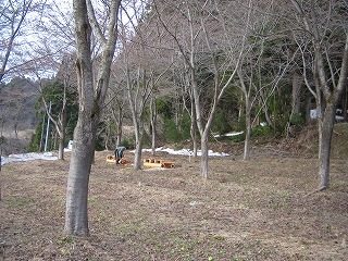 IMG_1028.jpg