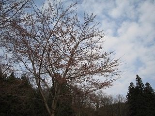 IMG_1029.jpg