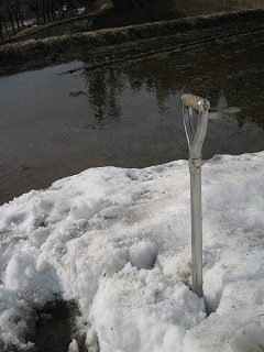 IMG_1030.jpg