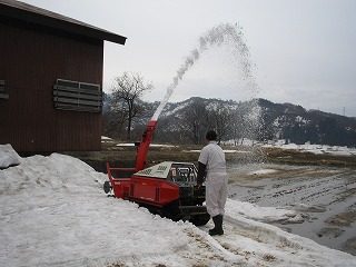 IMG_1033.jpg
