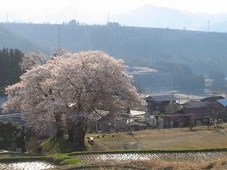 IMG_1041.jpg