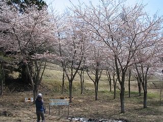 IMG_1042.jpg