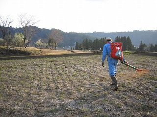 IMG_1054.jpg