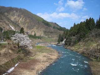 IMG_1058.jpg