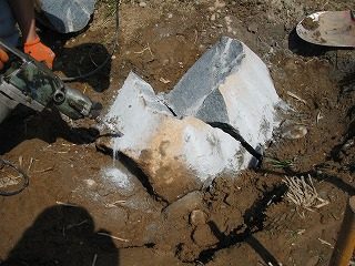 IMG_1062.jpg