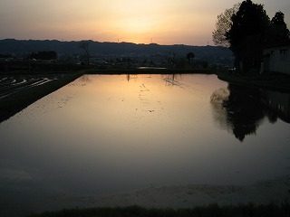IMG_1087.jpg