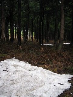 IMG_1095.jpg