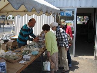 IMG_1102.jpg