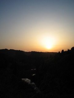 IMG_1108.jpg