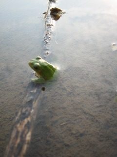 IMG_1111.jpg