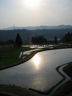 IMG_1112.jpg