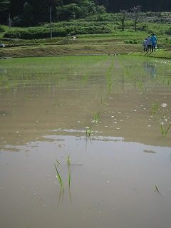 IMG_1119.jpg
