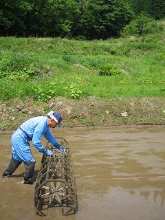 IMG_1122.jpg