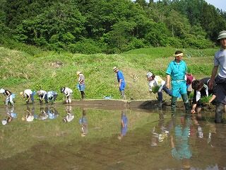 IMG_1125.jpg